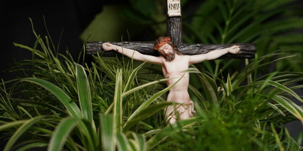 photo by jinu joseph