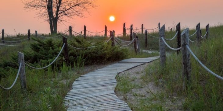 brown wooden pathway between green grass field during sunset